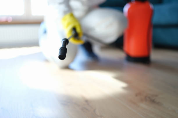 Best Mold Remediation for Rental Properties  in Pine Ridge, SC