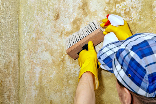 Best Air Quality Testing for Mold Spores  in Pine Ridge, SC
