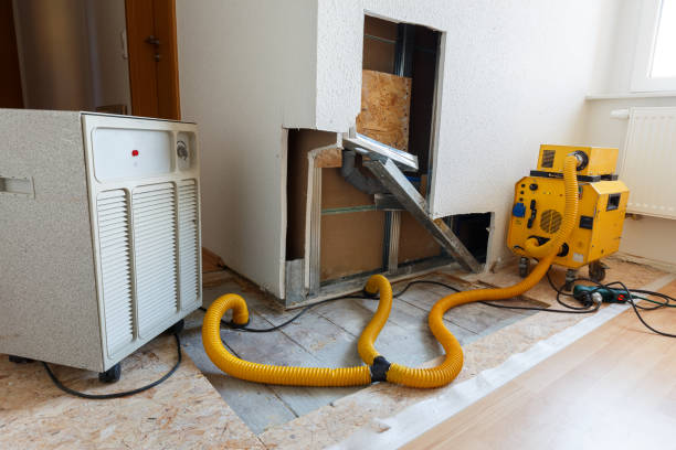 Best Indoor Air Quality Assessment  in Pine Ridge, SC