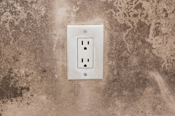 Best Mold Odor Removal Services  in Pine Ridge, SC